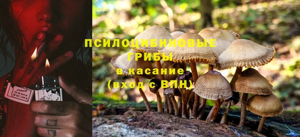 PSILOCYBIN Лагань