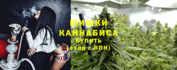 PSILOCYBIN Лагань