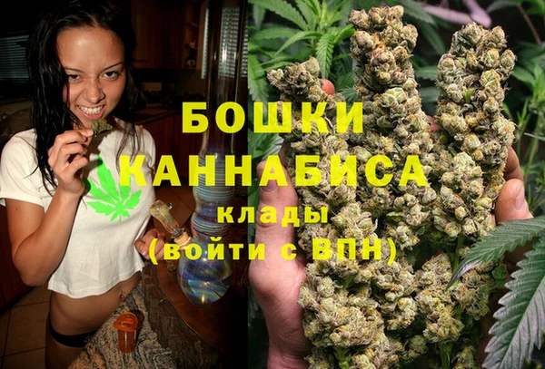 PSILOCYBIN Лагань