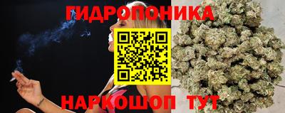 гидропоника Краснодар