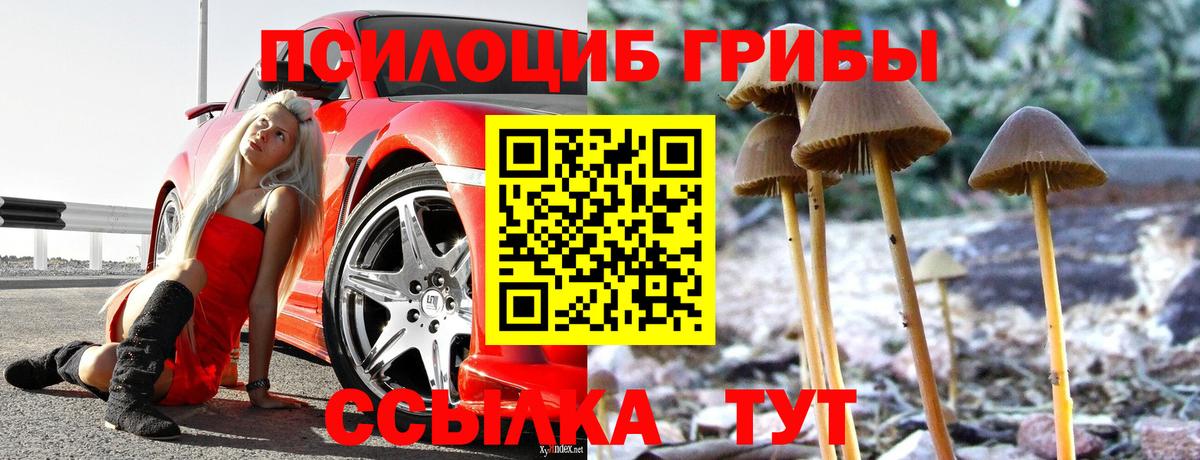 Псилоцибиновые грибы прущие грибы Арзамас